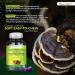 Essentialife Lions Mane Mushroom Supplements | 5-in-1 Mushroom Gummies with Turkey Tail Cordyceps Reishi Chaga Extract | Brain Focus and Immune Support | Raspberry Flavor | 60 ct - Buy Online on GoSupps.com