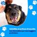 Nice Pet Hygienic Towels for Dogs & Cats - 100 Chlorhexidine Towels | pH Protection & Musk Fragrance | Ideal Pet Hygiene Solution - Buy Online on GoSupps.com