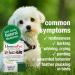 HomeoPet Anxiety Relief 15 ml | Natural Pet Calming Solution - Buy Online on GoSupps.com