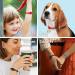 Buy Bone Fragrance Chain Aromatherapy Diffuser - Stylish Elastic Silicone Bracelet for Couples - 2 Piece Red Set | GetaWay Solids - Buy Online on GoSupps.com