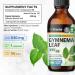BIO KRAUTER Gymnema Sylvestre - Liquid Drops Gymnema Sylvestre Extract 530 mg per Serving 4 Fl.Oz 56-Day Supply - Pure & Vegan Gurmar for Overall Support & Daily Wellness - Alcohol & Sugar Free 4 Fl Oz (Pack of 1) - Buy Online on GoSupps.com