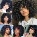 KEAT Short Curly Kinky Wig with Bangs for Black Women - Black Big Afro Wigs for African American - Natural Synthetic Soft Wigs for Daily Party (K001BK) - Buy Online on GoSupps.com