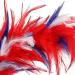 MWOOT Feather Headband 1920s Feathered Headpiece Red White Blue Roaring 20s Fascinators for Women Artificial Flower Feather Headwear Hair Accessory for Cocktail Carnival Prom Tea Party Decoration - Buy Online on GoSupps.com