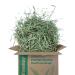 Lunnun Trading & Sales LTD Timothy Hay Premium Quality Dust-Free Green 100% Natural Timothy Hay for Rabbits Guinea Pigs Hamsters and all Small Animals - 5 KG 5.00 kg (Pack of 1)