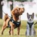 Buy Medium Black Dog Harness - Padded Puppy Harness for Small to Medium Dogs - Buy Online on GoSupps.com