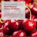 Montmorency Tart Cherry Concentrate 50:1 - Muscle Recovery Antioxidant-rich Gluten-Free Veggie Capsules | 25 000 mg | Made in USA - Buy Online on GoSupps.com