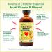CHILDLIFE ESSENTIALS Kids Multivitamin & Mineral + Cod Liver Oil - Liquid Vitamins for Baby Kids & Toddlers Arctic Cod Liver Oil Added DHA EPA Omega-3 Fatty Acids Non-GMO Gluten Free - 2-Pack - Buy Online on GoSupps.com