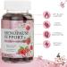 Menopause Relief Gummies - Natural Hot Flash & Night Sweats Support - Energy Supplement for Perimenopause - Raspberry Pomegranate Flavor - 60 Gummies - Buy Online on GoSupps.com