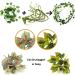 Buy Hanging Plant Terrarium Accessories | Quozio Gecko Habitat Deco | Artificial Plants & Climbing Vines for Chameleons Lizards & Snakes - International Shipping Available - Buy Online on GoSupps.com