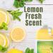 Diversey Limon Pot & Pan Detergent - Grease-Fighting Gentle on Hands Lemon Fresh - 1-Gallon Pack of 2 | High-Sudsing Concentrate for International Shipping - Buy Online on GoSupps.com