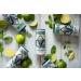 TENZING Natural Energy Drink Plant Based Vegan & Gluten Free Drink Lime & Mint 250ml (Pack of 12) - Buy Online on GoSupps.com