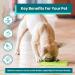 LickiMat Classic Soother Dog Feeding Mat for Anxiety Relief - Turquoise - Buy Online on GoSupps.com