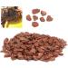 Buy Bark Litter for Reptiles - Natural Wood Granules Substrate for Turtles Lizards & Snakes | Eco-Friendly Breeding Box - Buy Online on GoSupps.com