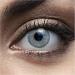 Buy WoWlens Dubai Blue Colored Contact Lenses - Natural Ice Blue 1 Pair with Container Dia 14.00 | International Shipping Available - Buy Online on GoSupps.com