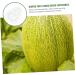 Milisten Gardening Tools 6 pcs Watermelon Mould Tools Clear Supplies Growing Garden Vegetable Multifunction Moldvegetable Transparentx2pcs 9x8cmx2pcs - Buy Online on GoSupps.com
