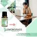 Rocky Mountain Oils Lemongrass Essential Oil - 15ml | Best for Diffusers & Topical Use - Premium Quality Essential Oil for Home & Wellness - Buy Online on GoSupps.com