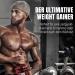 Powerstar Hardgain Mass 3600G - Sugar-Free Weight Gainer with Creatine | Fast Muscle Building & Mass Gain | German Quality | Coconut Flavor (1 Pack) - Buy Online on GoSupps.com