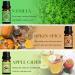Premium Autumn Fragrance Oils Set | Fall Essential Oils for Diffusers Soap & Candle Making - Cinnamon Pumpkin Spice Apple Cider Vanilla Forest Pine Snickerdoodle - Buy Online on GoSupps.com