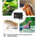 iPower Reptile Heat Pad and Digital Thermostat Controller - Ideal for Turtles, Lizards, Frogs - 8 X 12 Inch Heating Mat - Multiple Sizes Available - Buy Online on GoSupps.com