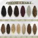 BARSDAR 18'' Claw Clip Ponytail Extension | Ash Brown/Blonde Mixed | Synthetic Multi Layered Hairpiece for Women - Buy Online on GoSupps.com