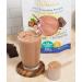 Vegan Protein Powder - Oatdacious 3 in 1 Smoothie Protein (Chocolate Hazelnut) with Oat Fibre/505 gm Gluten Free No Added Sugars - Buy Online on GoSupps.com