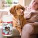 Beaphar Sea Algae Powder for Dogs & Cats - 100% Natural Dental Care - Fresh Breath & Muzzle Hygiene - 75g - Buy Online on GoSupps.com
