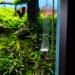 Measury 350mm Stainless Steel CO2 Diffuser for Aquariums - Top Quality & Efficiency - Buy Online on GoSupps.com