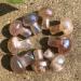 Home Decoration 10pcs Natural Gold Plating Flower Agate Quartz Mushroom Cherry Blossom Agate Crystal Buttom Mushroom Stones 10pcs High 18mm - Buy Online on GoSupps.com