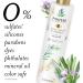 PANTENE NUTRIENT BLENDS Rosemary SULFATE FREE SHAMPOO 285 mL Rosemary Shampoo - Buy Online on GoSupps.com