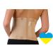 Double Pull Lumbar Lower Back Support Belt with 4 Stays for Pain Relief Herniated Disc Sciatica Scoliosis. Anti-skid Adjustable Brace for Work and Exercises for Men and Woman. Pain Relief Corset (#7 for Waist Circumference: 47-51 inch (120-130cm))