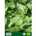  Biojoy Biojoy Organic Nettle Tea (100 g) dried and cut Nettle leaves (Urtica dioica) - Buy Online on GoSupps.com