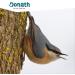 Donath Energie Mix - High-Quality Insect Fat Bird Feed | 2 kg Premium Year-Round Wild Bird Food from Southern Germany - Buy Online on GoSupps.com