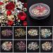 CHSEEO 12 Boxes Nail Art Rhinestones Set Nail Tips Studs Stones Diamonds Beads Glitter Rhinestones Slice Crystals Gems for DIY Nails Makeup Clothes Shoes Bags Decoration #13 - Buy Online on GoSupps.com