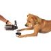 RUFF PUPS 32oz Stainless Steel Dog Water Bottle with Attached Bowls - Vacuum Insulated, Leak Proof for Travel & Outdoor Activities - Buy Online on GoSupps.com