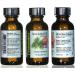 Buy TVaromatics 100% Pure Balsam Fir Essential Oil - 1 fl oz (30 mL) with Child Resistant Dropper - International Shipping Available - Buy Online on GoSupps.com