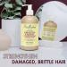 SheaMoisture Jamaican Black Castor Oil Conditioner 13 fl oz - Strengthen & Restore - Buy Online on GoSupps.com
