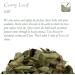 Organic Dried Curry Leaves 100g - Authentic Indian Spice for Cooking - Pack of 1 - Buy Online on GoSupps.com