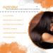 Viori Shampoo Bar Citrus Yao - Handcrafted with Longsheng Rice Water & Natural Ingredients - Sulfate-free Paraben-free Cruelty-free Phthalate-free pH balanced 100% Vegan Zero-Waste - Buy Online on GoSupps.com