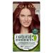Clairol Natural Instincts Semi-Permanent No Ammonia Hair Dye 6RR Light Red 6R Light Red 1 Count (Pack of 1)