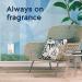 Glade PlugIns Clean Linen Air Freshener Refills - 5 Count (1-Pack) - Buy Online on GoSupps.com