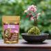 Medicinal Foods Love Tonic Hormonal Balance for Women | 12 Powerful Chinese Herbs Including Schisandra White Peony & Longan | Yin Energy Booster | All-Natural | Vegan & Gluten-Free | 100g - Buy Online on GoSupps.com