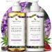 Tree To Tub Hydrating Sulfate Free Shampoo and Conditioner Set for Dry Hair  Dry Scalp  Frizz - Moisturizing Argan Oil Shampoo and Conditioner for Women & Men w/Organic Aloe Vera All Natural Lavender