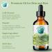 Green Coffee Bean Oil 473 ml Rich in Antioxidants Natural Moisturizer Versatile Use Bella Terra Oils  - Buy Online on GoSupps.com