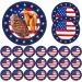 Shakven Flag Paper Plates Memorial Day Pride Paper Plates | Independence Day & Tableware Decorations Red White Blue Paper Plates 24 9-inch Plates - Buy Online on GoSupps.com