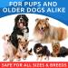 Bark&Spark Omega 3 Fish Oil Treats for Dogs - Allergy Relief - Joint Health Supplement - Salmon Oil Chews - 180 Treats - Buy Online on GoSupps.com