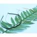 12 Pieces Smooth Metal Headbands Frames - Silver, Gold, and Black Tone for DIY Tiara Base - 5mm Width - Buy Online on GoSupps.com