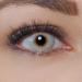 Contact lenses colored gray |Gray annual lenses without strength |Halloween Vampire Anime Cosplay |2 pieces of soft color lenses + containers tweezers inserting help |Strongly opaque |Charmiga Bonita Gray