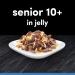 CESAR Senior 10+ Deliciously Fresh Wet Dog Food Pouches Aged Dogs Mixed Selection in Jelly Suitable for Senior Dogs Aged 10+ Pack of 4 (4 x 12 Pouches x 100 g) - Buy Online on GoSupps.com