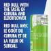 Red Bull Energy Drink Curuba-Elderflower 250ml (4 pack) - Buy Online on GoSupps.com