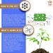 Zeolite AV Capsules - Immune System Booster with Humic Acid | Trace Minerals & Electrolyte Replenishment | Energy & Sleep Support (90 Count) - Buy Online on GoSupps.com